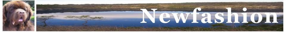 Welcome to NEWFASHION Newfoundlands